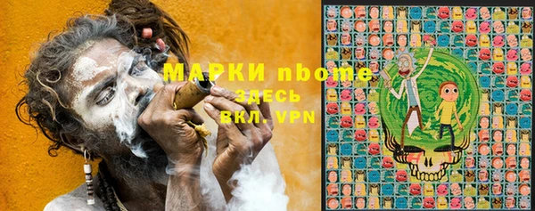 прущие грибы Алексин