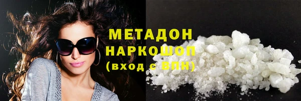 стаф Алзамай