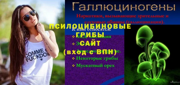 ГАЛЛЮЦИНОГЕННЫЕ ГРИБЫ Долгопрудный
